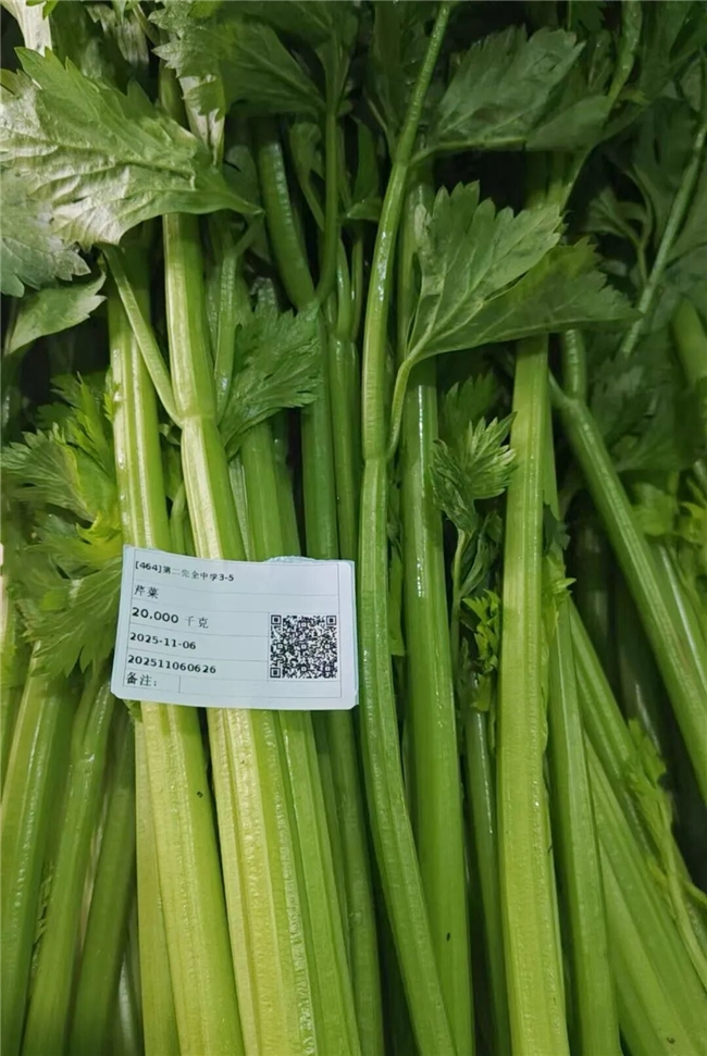 谯城范式：海亮科服“数智食配”助力区域教育高质量发展